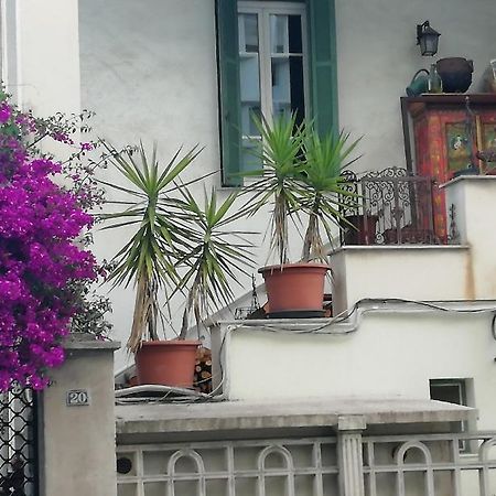Villa Cecile Ajaccio  Exterior photo